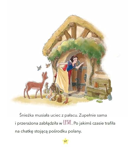 Moje pierwsze bajki o księżniczkach Disney Księżniczka
