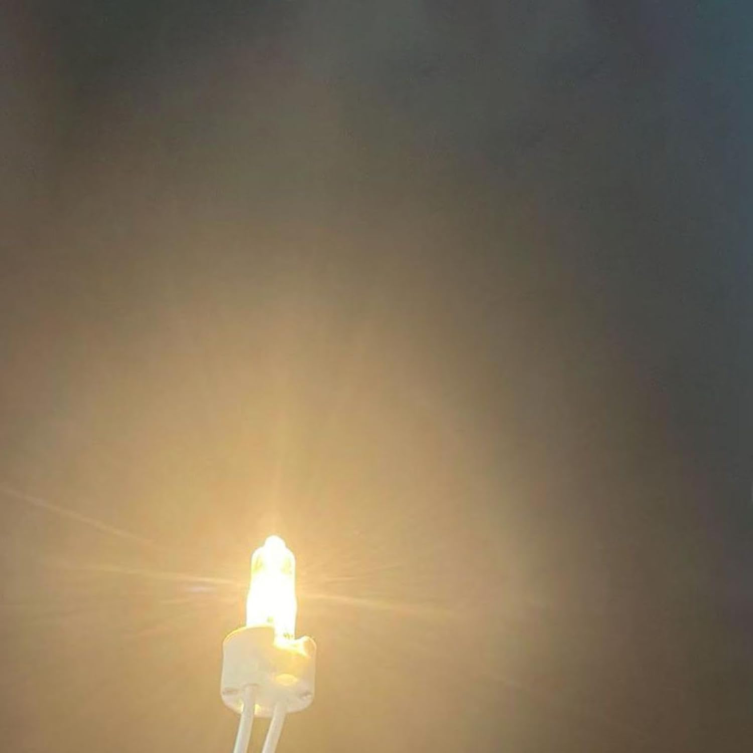 G4 Light Bulbs 12V 20W G4 Clear Capsule Halogen Lamps G4 Halogen Bulbs Dimmable Warm White for Cooker Hood,Crystal Chandelier,Landscape Lighting,50W,20Pc