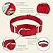 Country Brook Petz - Martingale Dog Collar - Heavy-Duty Training Collar with No Buckle - Service Dog Collar for All Pups - 20 Vibrant Colors (Red, 1 Inch, Extra Large)