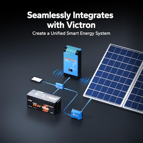 Image of LiTime 24V 100Ah LiFePO4 Battery Compatible with Victron System, CAN /RS485 Communication, Bluetooth 5.0, 4000+ Deep Cycles, Perfect for Off-Grid RVs, Home Energy Storage