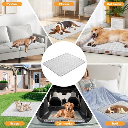 Chumix Wiederverwendbare Hundematte, Weichem Stoff Extra für Haustiere, Hundedecke für Unterwegs, Hundebettmatten für Große Hunde und Katzen,Ideal für Zuhause, Auto, Reisen(100x70cm XL)
