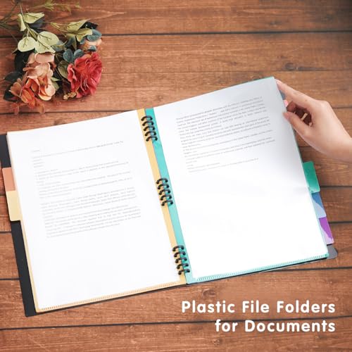 Edufun Pasta expansível de 12 bolsos com páginas removíveis, 6 abas numeradas, organizador colorido