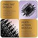 Professional Dual Voltage Blowout Hair Dryer Brush for European Travel 110V-120V/220V-240V, Black Gold Dryer and Volumizer, Hot Air Brush for Women, 2.4 INCHES Oval Shape