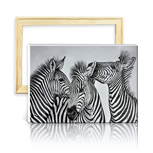 ufengke Kit Pintura de Diamantes 5D Cebra Blanca Negra Punto de Cruz Diamante Completo DIY para Amantes del Arte, con Marco de Madera, Diseño 25x35cm