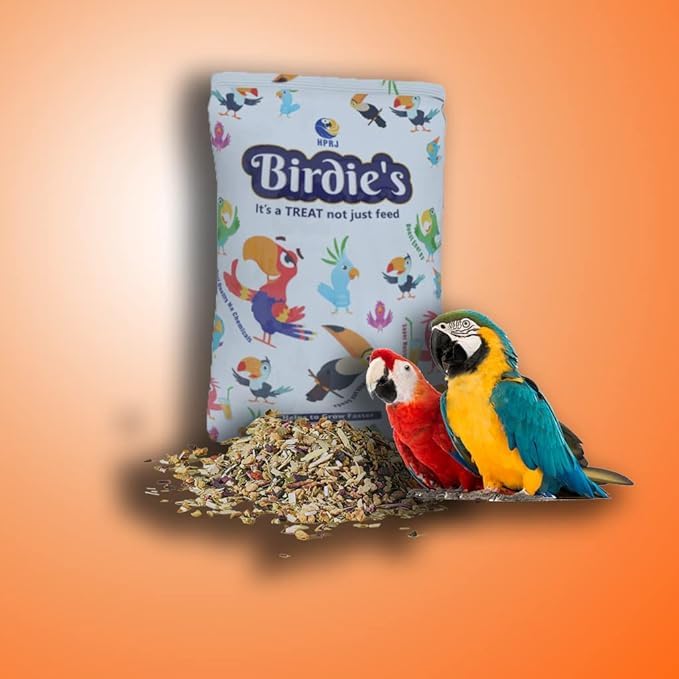 Birdie's 23-Seed Mix for Large Birds (500g) � Balanced, Nutritious, 100% Natural, Enhances Feather Strength, Vibrant Colors, Bone Health