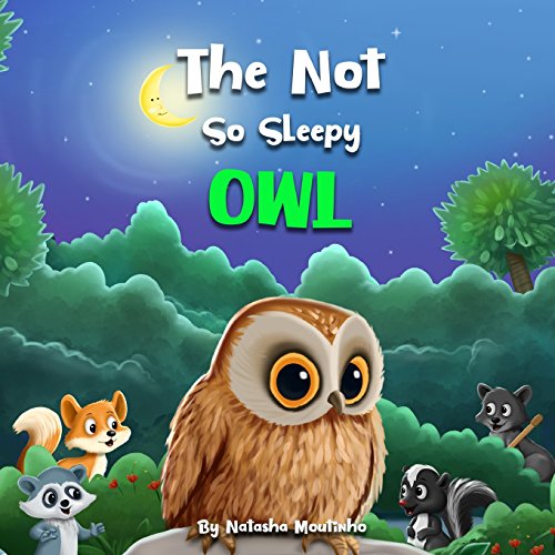 The Not So Sleepy Owl