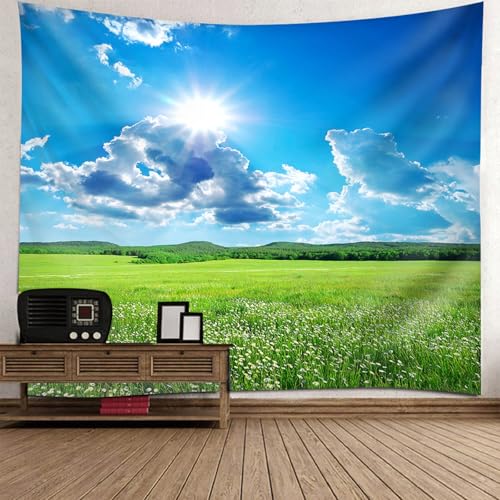 Tenture murale paysage 130x150cm ciel bleu prairie pour decoration chambre
