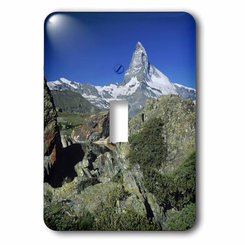 Interrupteur Cervin Alpes pour remplacer une plaque blanche