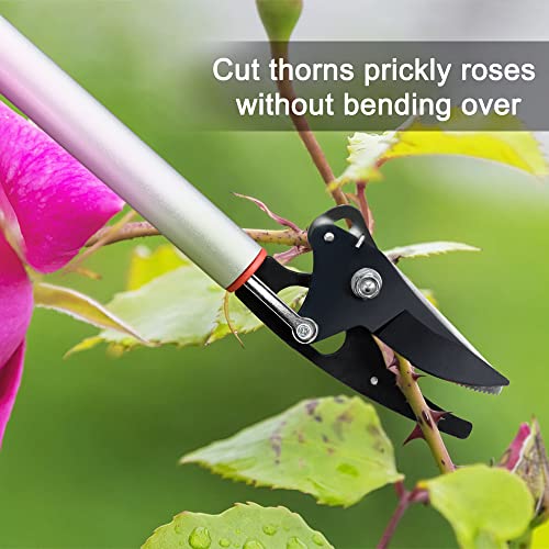 Byhagern 32Inch Cut and Hold Pruners, LongReach Tree Pruner with