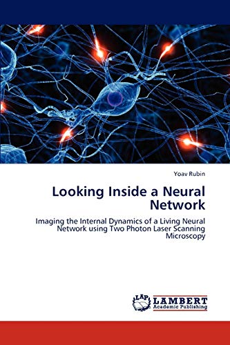 Looking Inside a Neural Network: Imaging the Internal Dynamics of a Living Neural Network using Two Photon Laser Scanning Microscopy