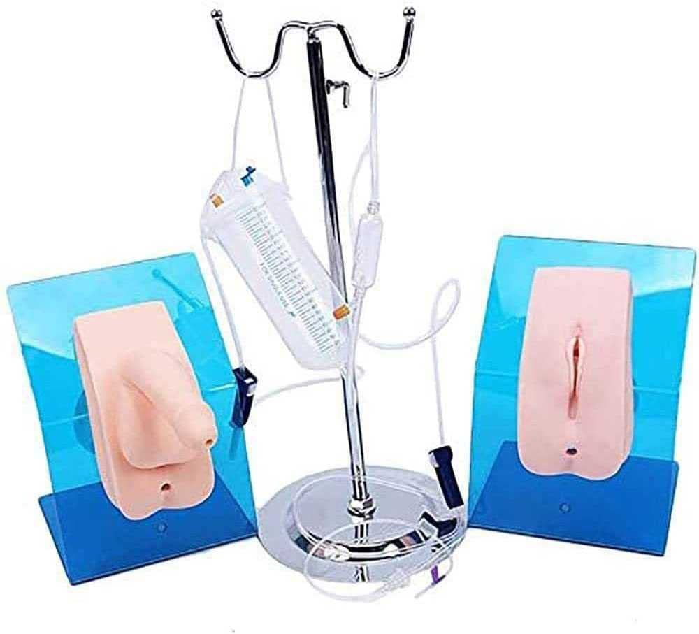 Buy NIHE Male Female Genital Model Urinary Catheterization Simulator, Urinary Catheterization