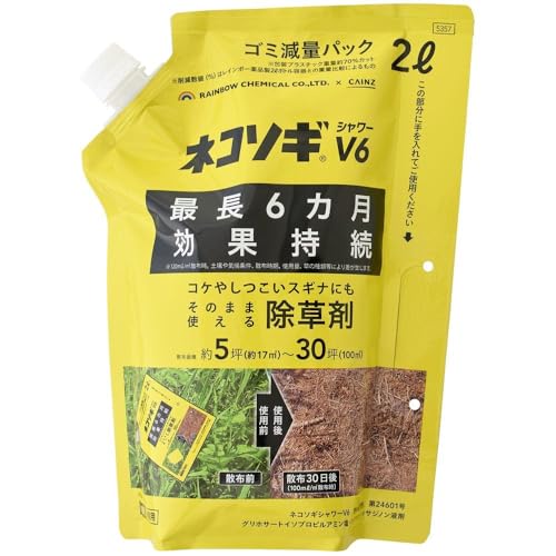 JCY(CAINZ) lR\MV[V6 C ̂܂܎g鏜 S~ʃpbN 2L t Œ6J V[Uz ԏ  G TT XXL hN_~ RP   G΍