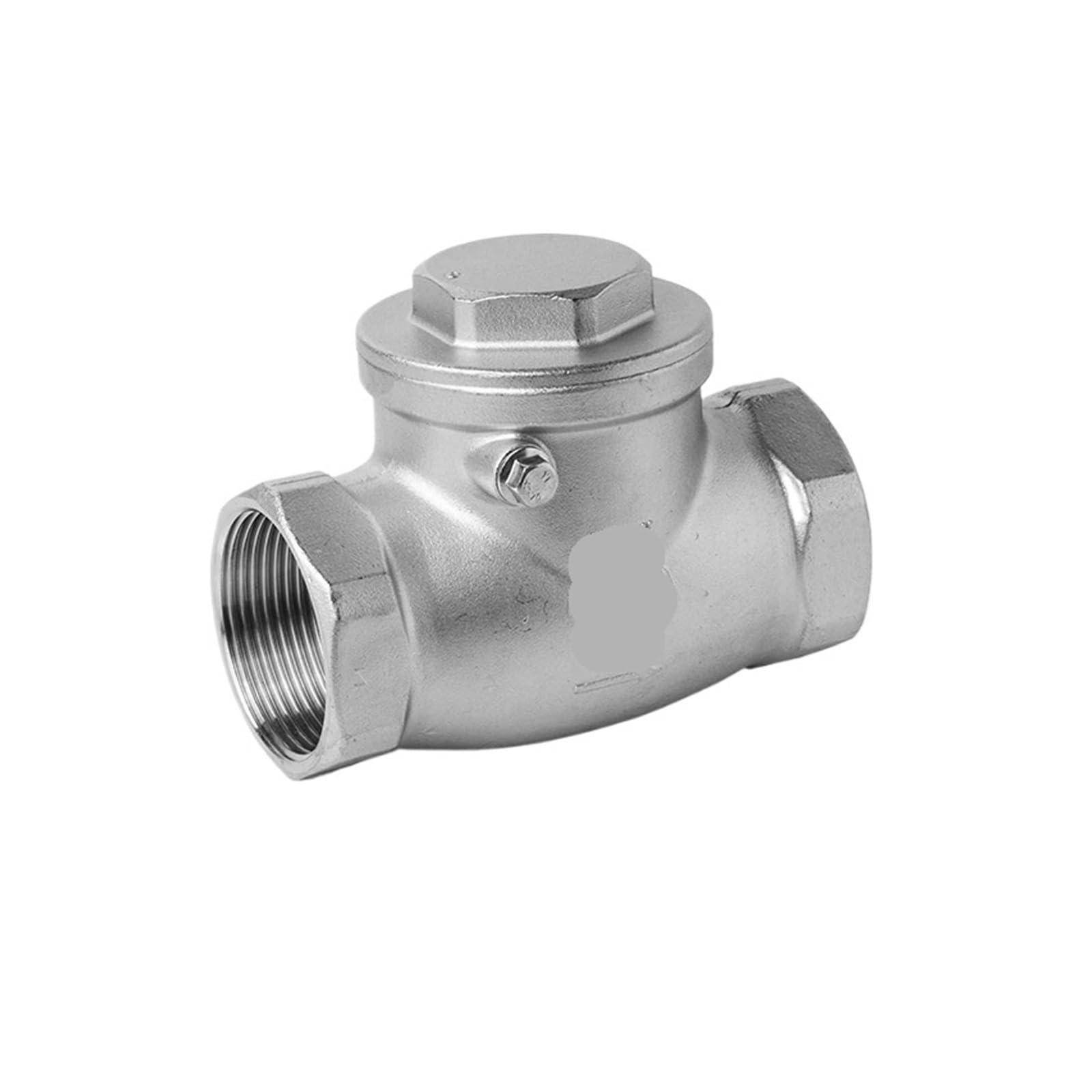 Clapet anti-retour pour tuyau d'eau horizontal évite le reflux en inox 1-1/4 pouce