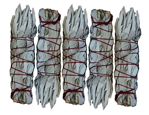 SK White Sage INC. Mini White Sage Smudging Stick (5-Pack) 4 by SK White Sage