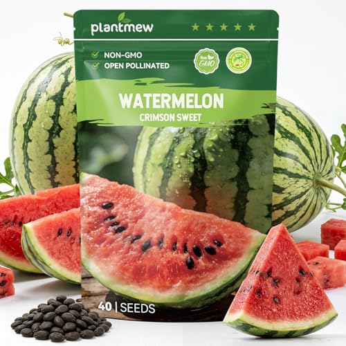 PLANTMEW 40 Heirloom Crimson Sweet Watermelon Seeds for Planting Large Sweet Melon High Germination Fast-Growing Ideal for Home Garden & Field
