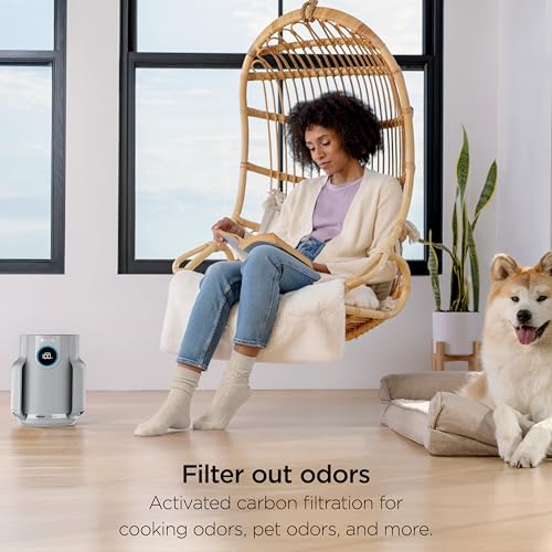 Image of Shark Air Purifier for Home, NeverChange Compact Pro, 2 Pack, For Bedroom, Nursery, Home Office, Dorm, HEPA-Exceeding Filter, Captures Pollutants, Pet Dander, Dust, Odor, Smoke, Dark Grey, HP0712GY1