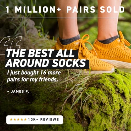 Alpaca No Show Socks for Men and Women, 4 Pack, Moisture Wicking Alpaca Socks for Hiking, Running, Outdoors, Any Season No Show Sock, Temperature Regulating, Light Compression, Large, Grey3