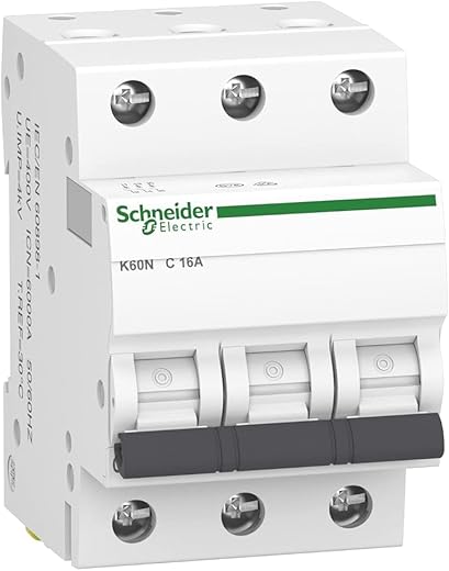Schneider Electric Bundle: Phasenschiene & Leitungsschutzschalter 10A B