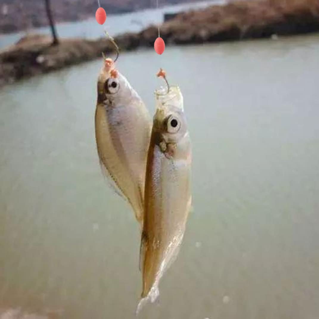 Jorzer Tope de Goma de Flotador Táquero de Pesca Silicona Pesca de Goma Bobber Tope de Frijoles Flotador Accesorios de la línea de Pescado para 2.5# -5.0# Línea 300pcs