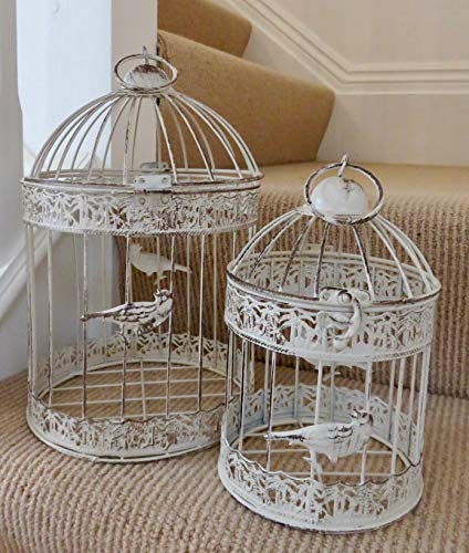 Metallo brocca, 7 teste di ortensia, fogliame e