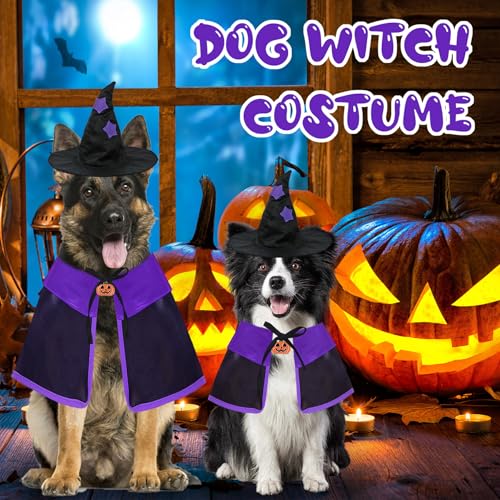 Disfraz de Bruja para Perro Grande X-Large Halloween miniatura 2