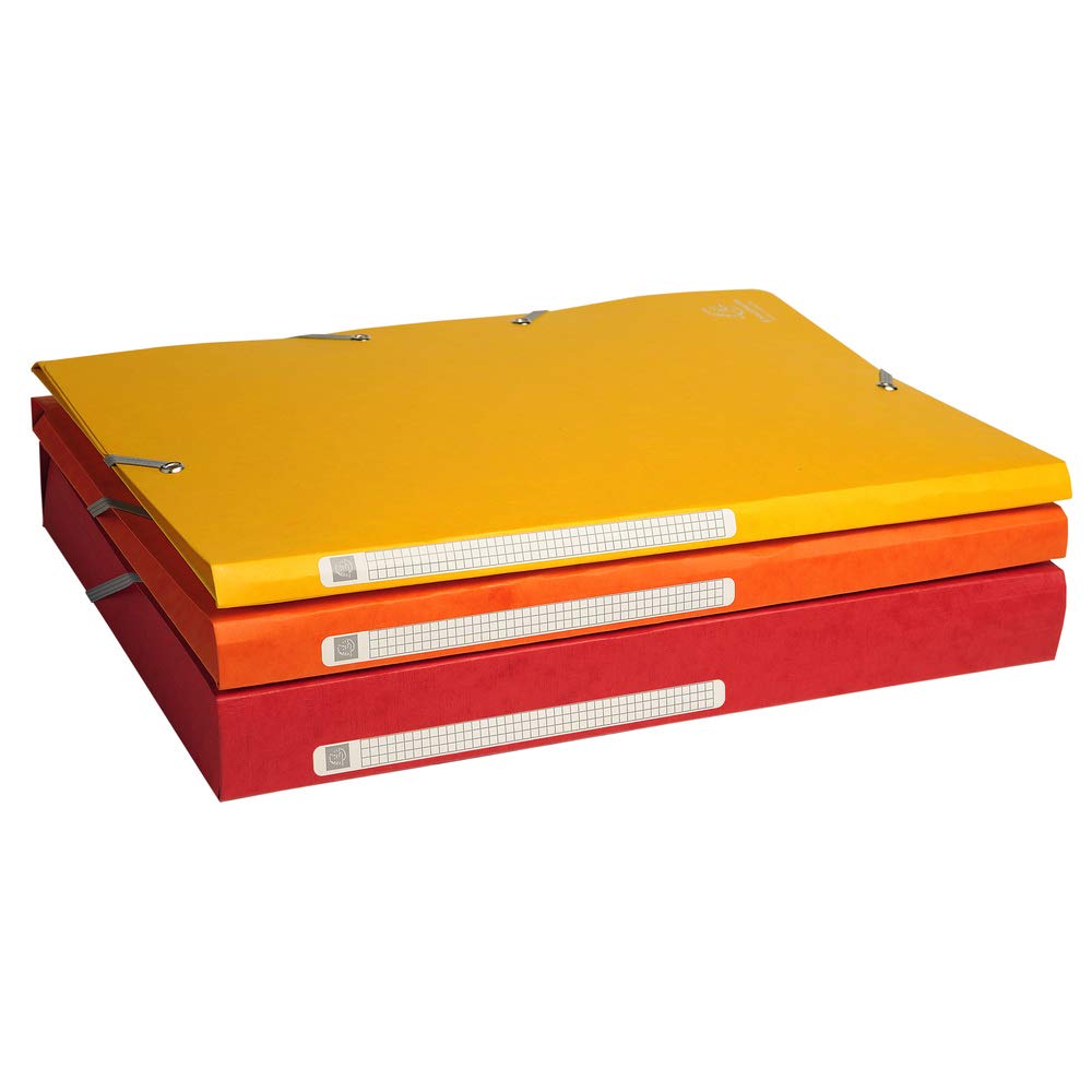 Exacompta 17100H - Pack de 50 de carpetas con goma, A4, multicolor