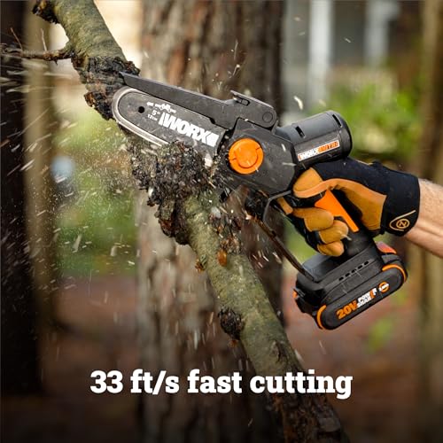 Worx 5