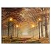 LED Wandbild Leinwandbild mit Beleuchtung Fotodruck Allee im Herbst 30 x 40 cm 4 LED warm weiß Timer Kunstdruck Leuchtbild Wiese Vintage-Stil Waldweg