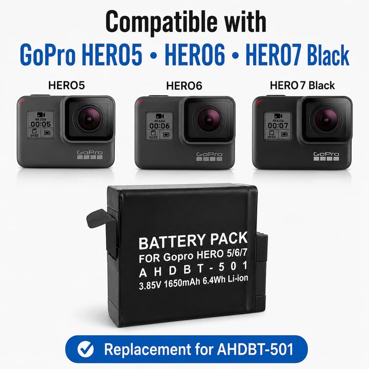 Amazon.com: eCostConnection Replacement Battery for GoPro HERO5