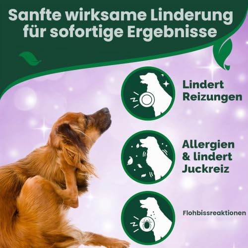 Vet's Best Allergieentlastung für Hunde 250ml