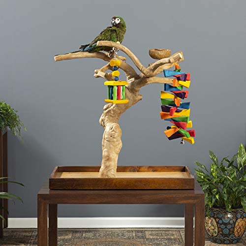 tabletop bird play stand - Prevue Pet Products Coffeawood Tree Mini Table Top (Large)