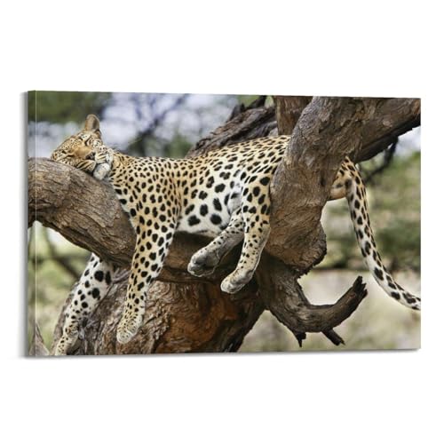 Poster toile léopard africain déco murale nature sauvage 60x90 cm