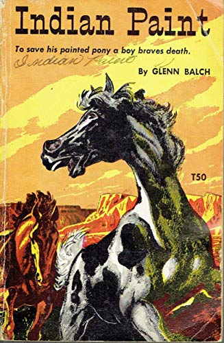 Indian Paint B07KFP5XD8 Book Cover