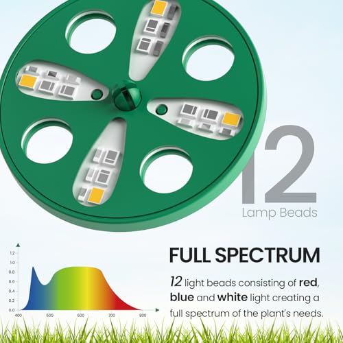 Image of MIXC Seed Starter Tray with Lights, 2 Packs Mini Propagator Plant Grow Kit Greenhouse with Humidity Vented Domes and Base for Seeds Starting, Green