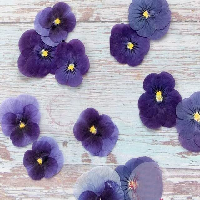 Flores secas reales para manualidades DIY 120 piezas miniatura 2