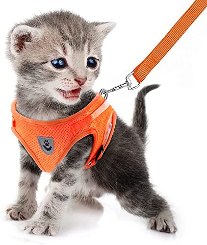 Image of FEimaX Dog Harness and Leash Set for Walking, Soft Mesh Adjustable Easy Control Lightweight Cat Vest Harnesses with Reflective Strips, Escape Proof Small Dogs Cats Vests (Orange, Large)