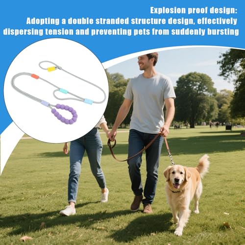 Laisse pour chien réglable et rembourrée pour une randonnée confortable