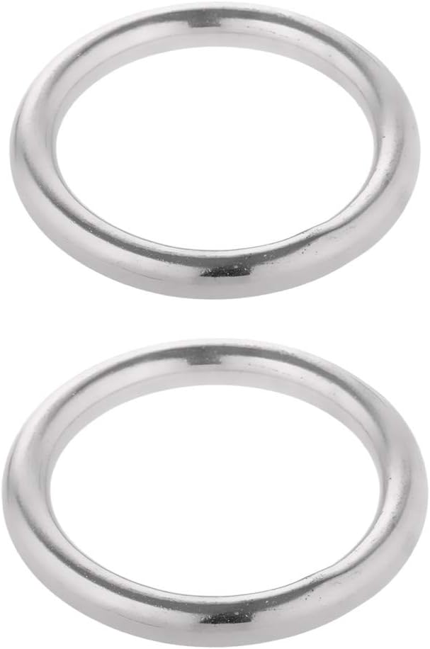 2pcs Stainless Steel Webbing Strapping Welded O Rings, Metal Buckle for Purses Bag, DIY Metal Accessories