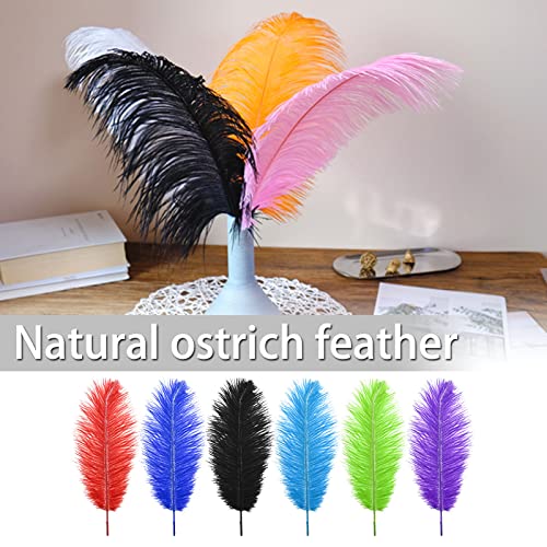 Be In Your Mind 15pcs Natural Ostrich Feathers Mixed Colorful Feathers 25-30cm for DIY Craft Art Design Non-Toxic Odourless Dream Catchers Wedding Party Home Decoration - Image 2