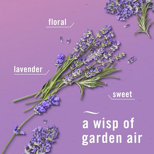 Febreze Air Mist, Air Freshener Spray, Odor Fighting Room Spray, Deodorizer for Home Bathroom Kitchen Office Apartment Dorm Room Classroom, Twilight Lavender Scent, 8.1oz (Pack of 2) - image 4