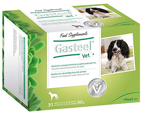 Gasteel Vet Food Complementary Powder For Dogs. Simbiótoco (Probiotic Plus Prebiotic) Natural One Aid to The Digestive Health Of Animal. Flavour Bacon. 90 G