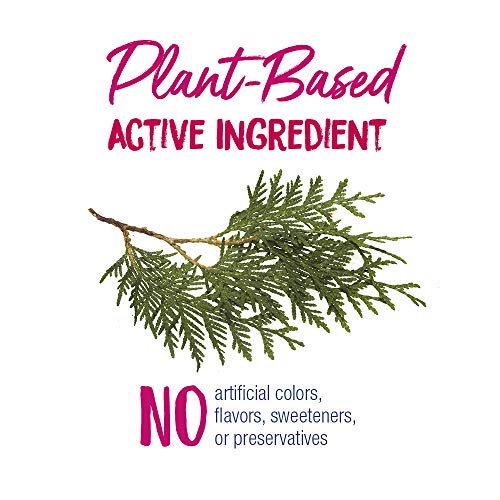 Image of Boiron Thuja Occidentalis 30C Wart Removal Homeopathic Medicine for Painless Removal of Warts from Plantar (Feet), Hands, and Other Bodily Warts - 3 Count (240 Pellets) (Pack of 2)