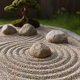 FORTUNATO B0FKBQDQMQ lato 3