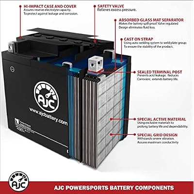 AJC Battery Compatible with EverStart ES4LBS Powersports Battery