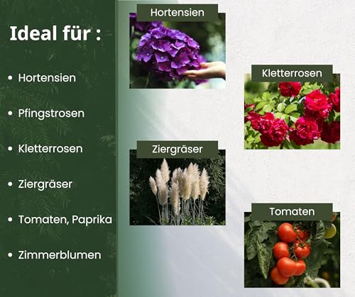 ARPON Staudenhalter rund 20 Stück – Einstellbare Blumenstütze & Pflanzenstütze Ø 21,5 cm – Ideal als Hortensien Stütze, Strauchstütze, Staudenstütze & robuster Blumenhalter im Garten