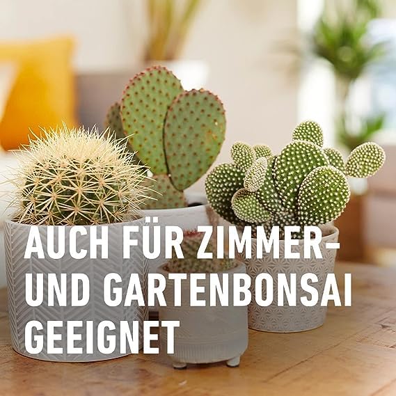 3 X COMPO Kakteen- Und SukkulentendÃ¼nger, Auch FÃ¼r Bonsai, 250 - Foto 7