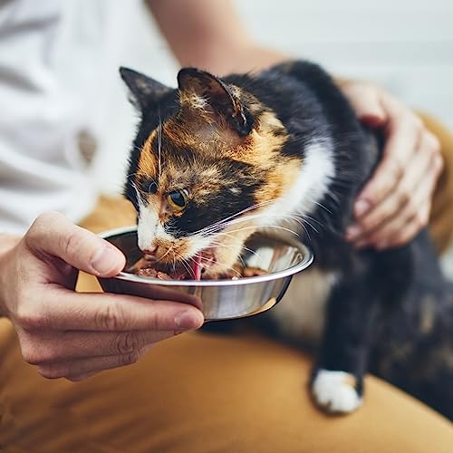 Gcvopton 4 Pcs Stainless Steel Cat Bowls,5.5 Inches Metal Cat Bowl thumb #4