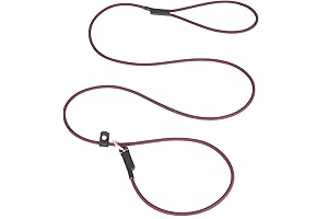 Biothane Slip Lead - Slip Leads for Dog Slip Leash, Training Leash, Waterproof, Long-Lasting