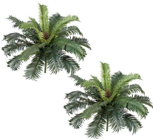 25' Cycas Palm Artificial Tree Silk Plants, with No Pot, (Pack of 4)