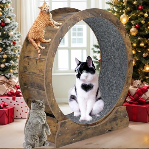 Cat Exercise Running Wheel Cat Treadmill Wheels for Indoor Cats Large (Rusty Brown, Medium)